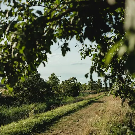 Chalaalets * לה אן דר טהיאה